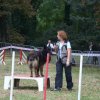 foire-haricots 2011-09-17et18